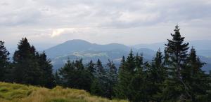 Vrh Smrekovca