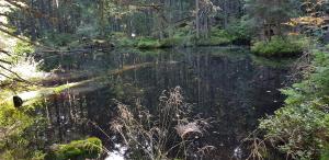 Črno jezero