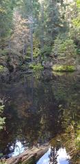Črno jezero