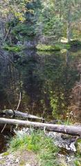 Črno jezero