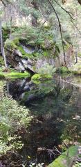 Črno jezero