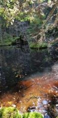 Črno jezero